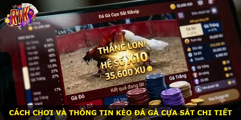 Cách chơi và thông tin kèo đá gà cựa sắt chi tiết
