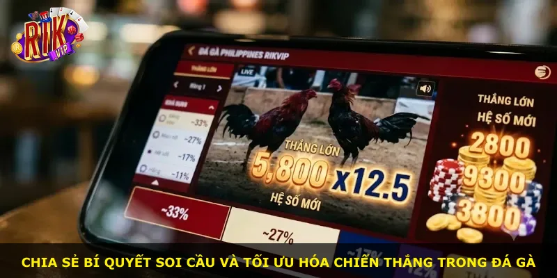 Chia sẻ bí quyết soi cầu và tối ưu hóa chiến thắng trong đá gà
