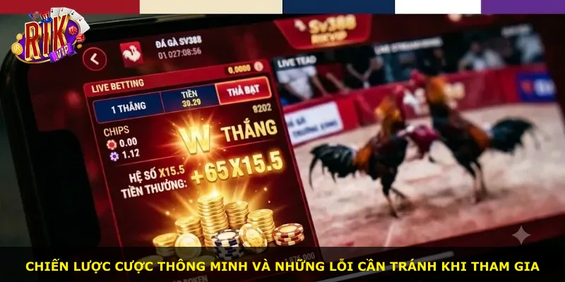 Chiến lược cược thông minh và những lỗi cần tránh khi tham gia