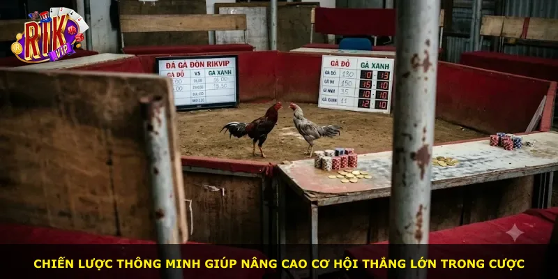 Chiến lược thông minh giúp nâng cao cơ hội thắng lớn trong cược