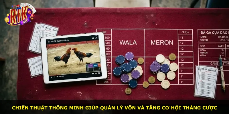 Chiến thuật thông minh giúp quản lý vốn và tăng cơ hội thắng cược