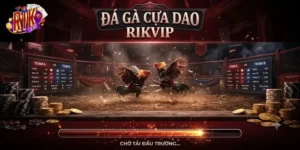 Đá Gà Cựa Dao Rikvip Đấu Trường Kịch Tính Cho Anh Em Đam Mê Cá Cược