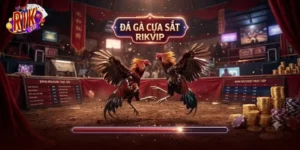 Đá Gà Cựa Sắt Rikvip Giải Trí Cực Đã, Thưởng Lớn Hấp Dẫn Mỗi Ngày