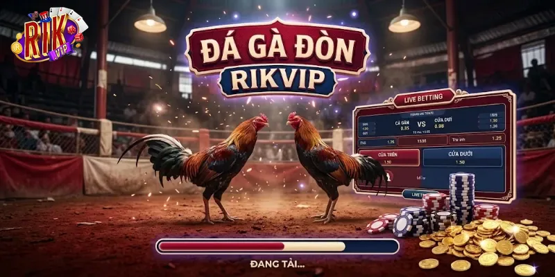 Đá Gà Đòn Rikvip Kịch Tính, Cược Hấp Dẫn Cho Anh Em Đam Mê Đá Gà Online