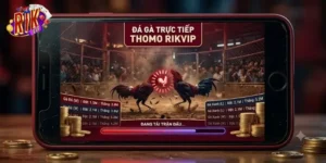 Đá Gà Trực Tiếp Thomo Rikvip Trải Nghiệm Kịch Tính Chuẩn Trường Gà Campuchia