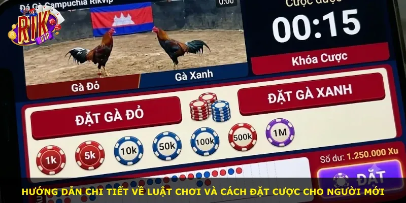 Hướng dẫn chi tiết về luật chơi và cách đặt cược cho người mới