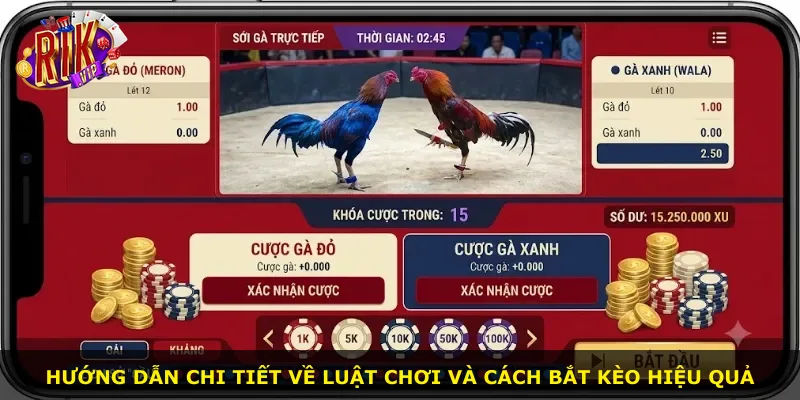 Hướng dẫn chi tiết về luật chơi và cách bắt kèo hiệu quả