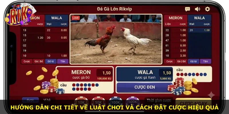 Hướng dẫn chi tiết về luật chơi và cách đặt cược hiệu quả