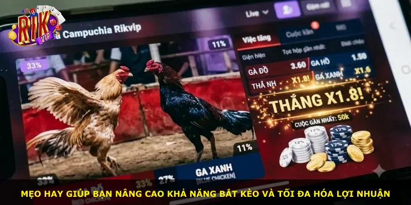 Mẹo hay giúp bạn nâng cao khả năng bắt kèo và tối đa hóa lợi nhuận