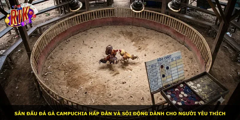 Sân đấu đá gà Campuchia hấp dẫn và sôi động dành cho người yêu thích