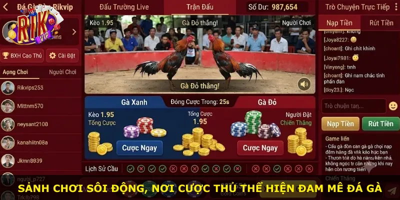 Sảnh chơi sôi động, nơi cược thủ thể hiện đam mê đá gà