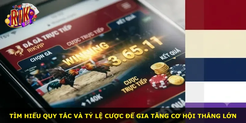 Tìm hiểu quy tắc và tỷ lệ cược để gia tăng cơ hội thắng lớn