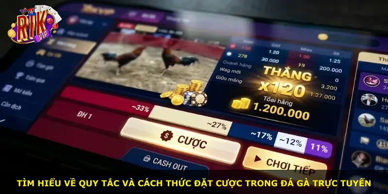 Tìm hiểu về quy tắc và cách thức đặt cược trong đá gà trực tuyến