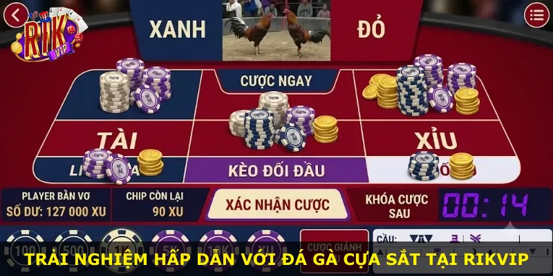 Trải nghiệm hấp dẫn với đá gà cựa sắt tại Rikvip